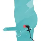 Pripučiamas dildo – 8 cm (3.1″) Photo