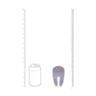 Bonnie - Double-ended Tapping Vibrator - Lavender — Nuotrauka 6