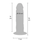 ToyJoy Get Real dildo su apyvarpe – 15 cm (6″) – kūno spalva — Nuotrauka 2