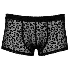 Noir H. kelnės su leopardo raštu – 2XL — Nuotrauka 4