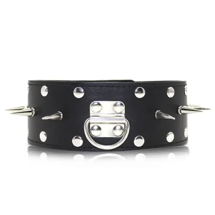 Leather Spiked Collar with Leash
