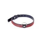 Fetish B - Series Collar with crystals 2 cm Red Line Foto 1