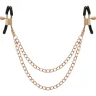 Coquette Chic Desire Metal Chain Nipple Accessory – Silver — Photo 4