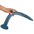 Beasty Cocks Eel of Ecstasy – 46 cm (18.1″) Foto 9