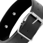 Darkness Collar Model 8435565904135 with Leather Chain – Adjustable, Padded, Black — Photo 3