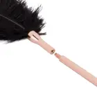 Rosy Gold Feather Tickler & Whip – Rose Gold — Photo 6