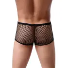 Paris Hollywood Men's Fishnet Boxer Shorts – Black – S/M — Photo 2