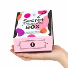 Secret Play Pleasures Box – rinkinys poroms su kauliukais, vibruojančia kulka ir plunksnele – rožinis — Nuotrauka 4