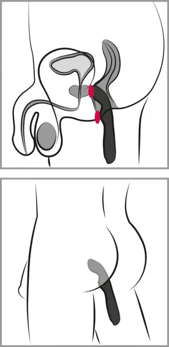 Rebel P-punkti vibraator – 23.5 cm (9.25″) – must Photo