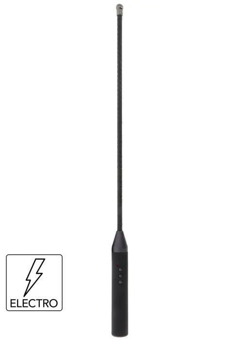 HIDDEN DESIRE Electro Shock Cane – Black