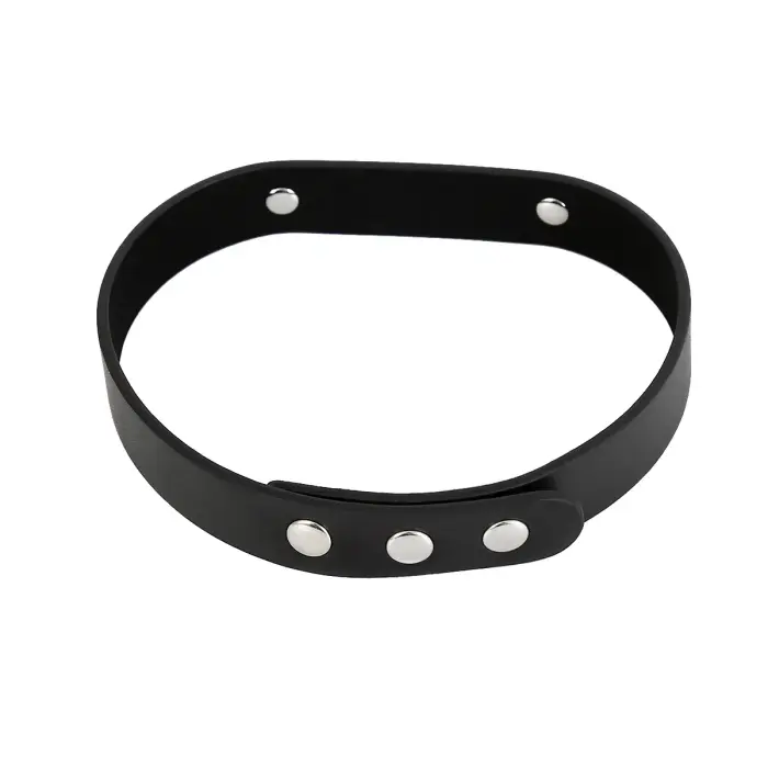 Deluxe Collar (SLAVE) Foto 2