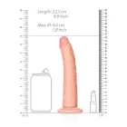 Slim Realistic Dildo with Suction Cup – 20.5 cm (8″) – Skin — Photo 5