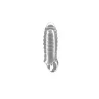 No.36 – Stretchable Thick Penis Extension – Black — Photo 3