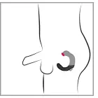 Rebel prostate stimulaator – 20 cm – Must Photo