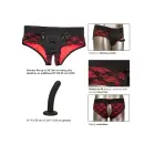 Scandal Crotchless Pegging Panty Set – Black – S/M — Photo 4