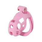 HIDDEN DESIRE Penis Prison Chastity Cage – Pink — Photo 1