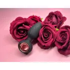 Aisi besisukantis analinis kištukas Photo