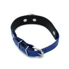 Black & Blue Leather Collar with Big O-Ring — Photo 4