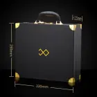 Lockink Moonlight Treasure Chest – BDSM-набор для фиксации в запирающемся кейсе – коричневый — Фото 9
