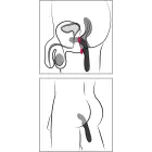 Rebel P-punkti vibraator – 23.5 cm (9.25″) – must Photo