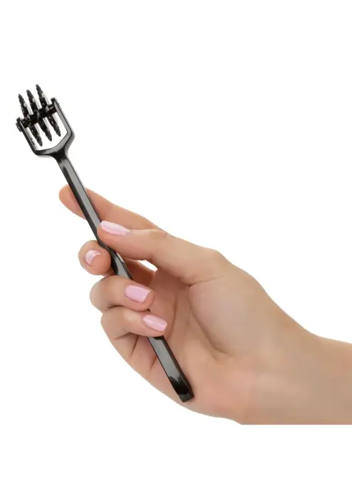 Boundless Trio Pleasure Wheel Photo