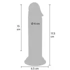 Bloomé by TOYJOY Everlasting Bloom Dong – vaigust dildo päris lilledega – 17 cm — Foto 5