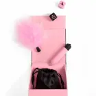 Secret Play Pleasures Box – rinkinys poroms su kauliukais, vibruojančia kulka ir plunksnele – rožinis — Nuotrauka 5
