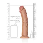 Curved Realistic Dildo with Suction Cup – 25.5 cm (10″) — Photo 5