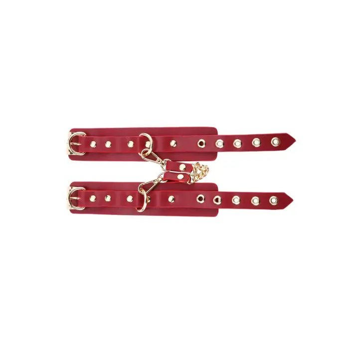BDSM Deluxe 5 Item Kit - Red Фото num