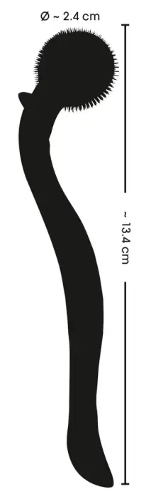 Fetish Collection Micro Pinwhe Foto 8