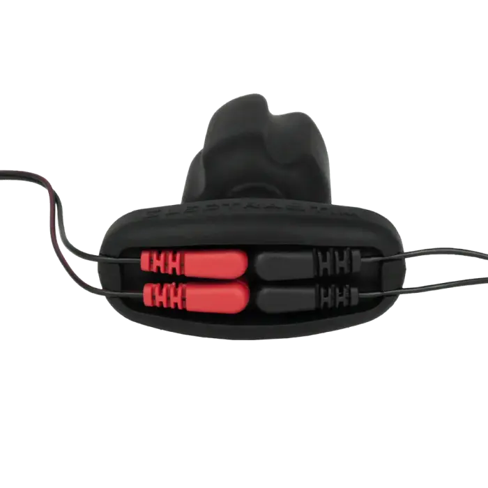 Tartarus Quadripolar anālais aizbāznis Foto 5