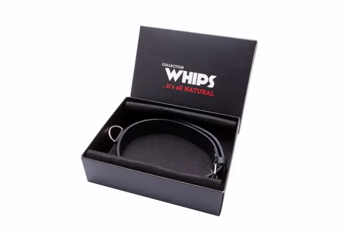WHIPS Narrow Leather Men's Collar – Black