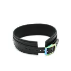 Kunstnahast kaelarihm Black Rainbow — Foto 3