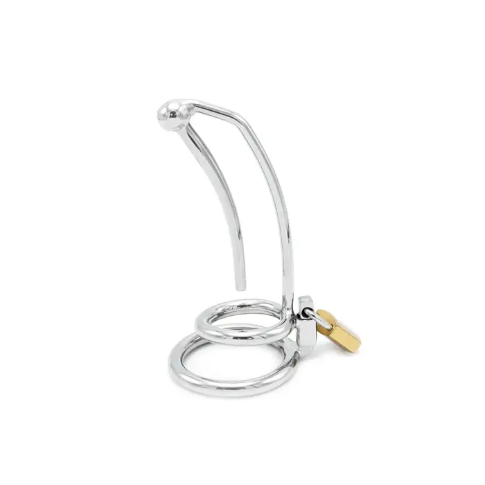 Penis Lock with Hollow Curved Penis Stick
