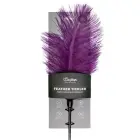 Pejcz Purple Feather Tickler — Photo 1