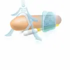 Andromedical Andropenis Mini anatominis tempimo prietaisas vyrams, kurių ilgis nesiekia 8 cm — Nuotrauka 5