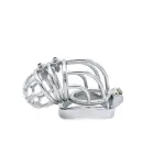Cruve Torture Chastity Device — Photo 4