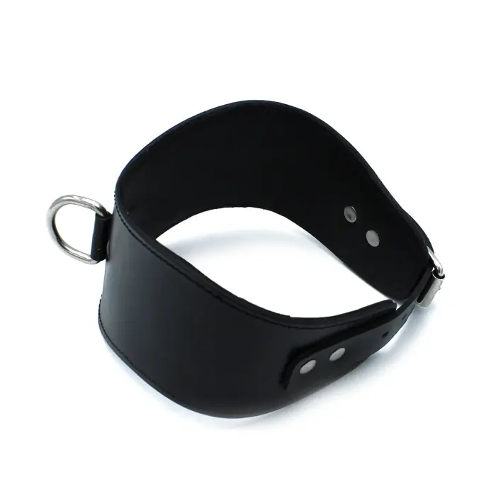 Contoured Black Faux Leather Collar with D-Ring