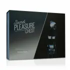 Loveboxxx Secret Pleasure Chest Silver Moon BDSM набор с фиксаторами и маской – серебряный — Фото 8