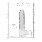 Realistlik dildo munandite ja iminapaga – 25 cm (9.8″) – Läbipaistev — Foto 5