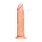 Realistic Dildo – 17 cm (7″) – Skin — Photo 5