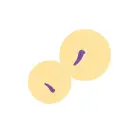 SalsaTap Sensation klitora stimulators – 15 cm (5.9″) – violets — Foto 16