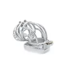 Cruve Torture Chastity Device — Photo 5