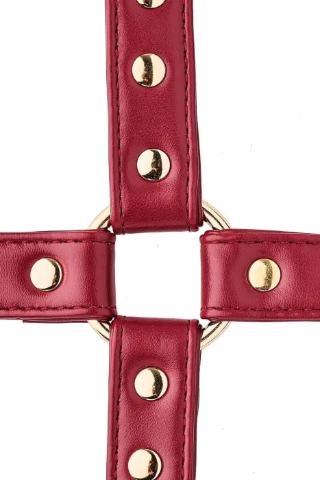 BLAZE ELITE HOGTIE RED Foto 4