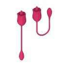 Licking Clitoral Stimulator and Vibrating Egg – USB Rechargeable — Photo 5