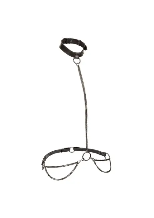 Euphoria Collection Plus Size Chain Halter & Collar with Leash – Black