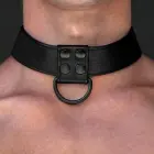 Bondage Fetish Black Matt Collar With Leash – kaklasiksna ar pavadu – mākslīgā āda – melns — Foto 4