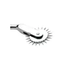 Wartenburg - Pleasure Wheel Photo