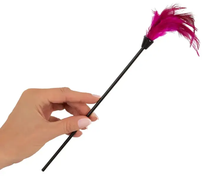 FFSLE Ultimate Bondage Kit Photo