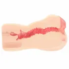 Kokos Edition 004 Intimate Device Double Layer Anatomical Model — Foto 3